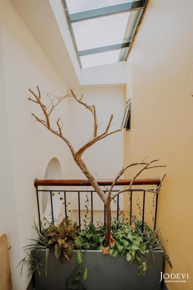 Pamela Homestay カオバン エクステリア 写真